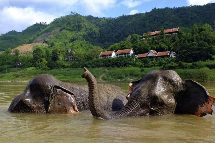 Inn Riverside Hostel Pb Muang Pakbèng エクステリア 写真